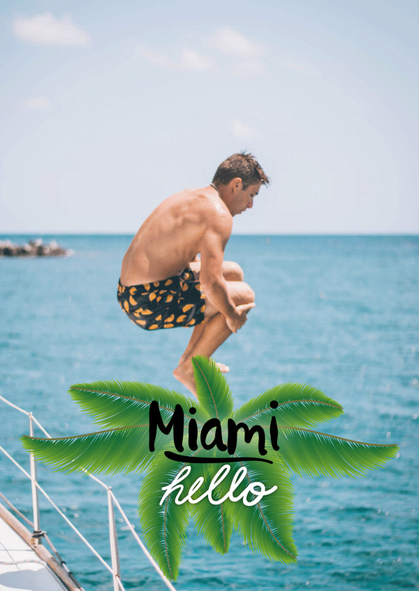 hello miami in black lettering with yellow-green palm leaf in the back