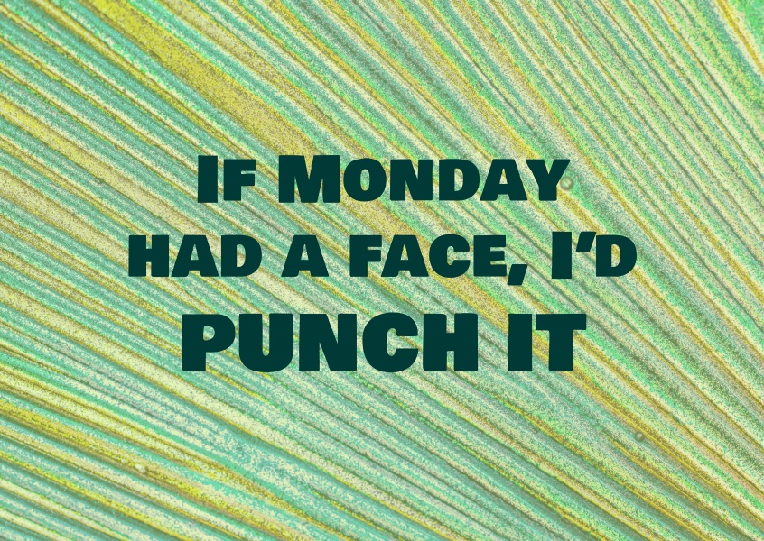 If Monday had a face, I'd punch it