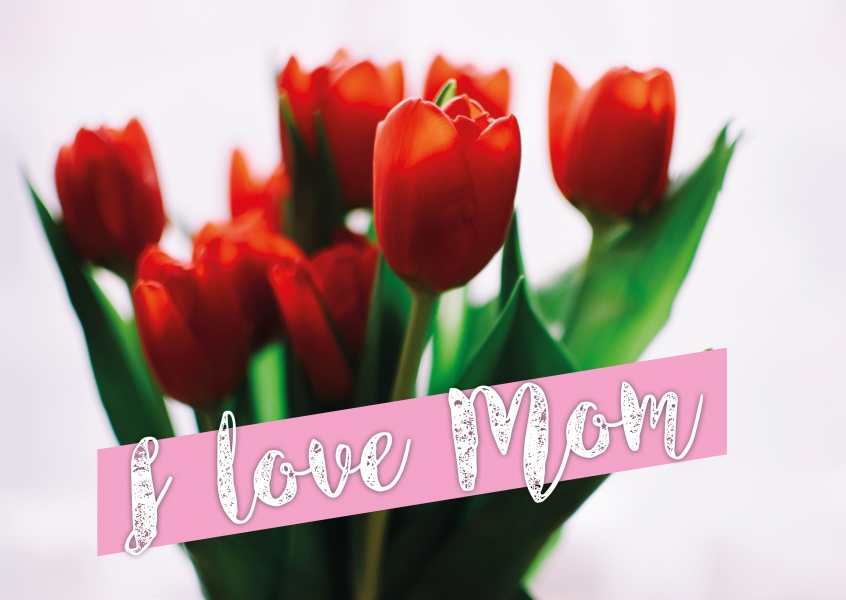 I love mom and red tulips