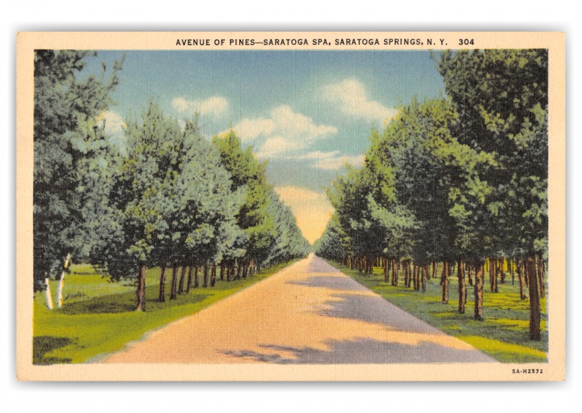 Saratoga Springs, New York, Avenue of Pines, Saratoga Spa