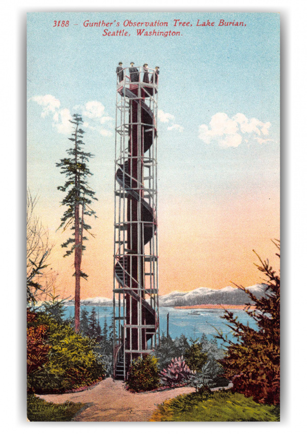 Seattle, Washington, Gunthers Observation Tree, lake Burian