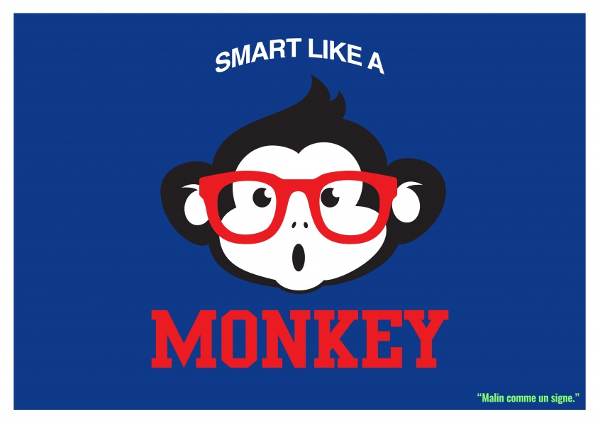 Expression drole franglais - smart like a monkey