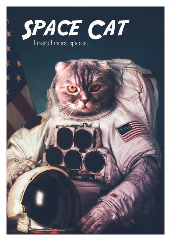 Lustiges Foto von bÃ¶ser Katze im Astronautenanzug, Space Catâ€“mypostcard