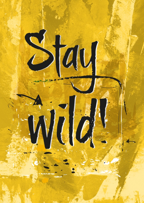 quote postcard stay wild