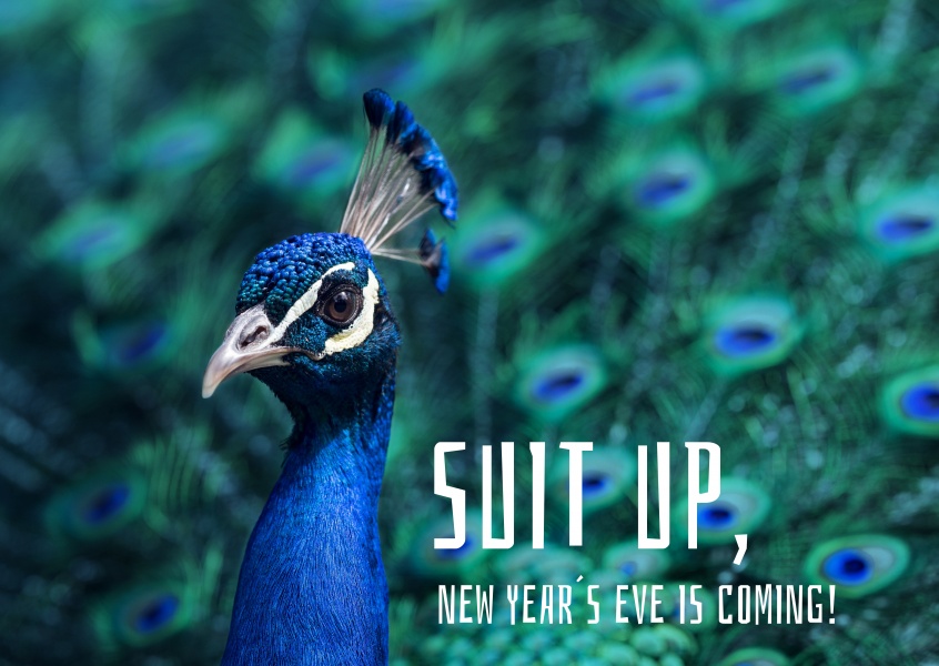 Suit up, New Year´s Eve is coming!