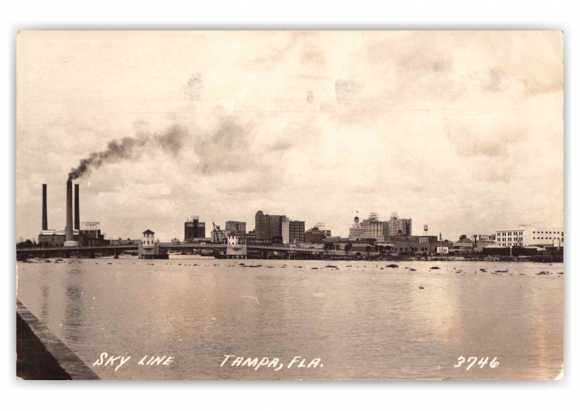 Tampa Florida Sky Line Scenic View