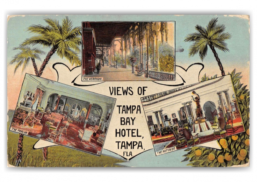 Tampa Florida Tampa Bay Hotel Views