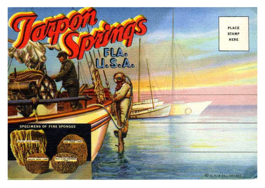 Curt Teich Postal Arquivos De Coleta De Tarpon Springs, Flórida