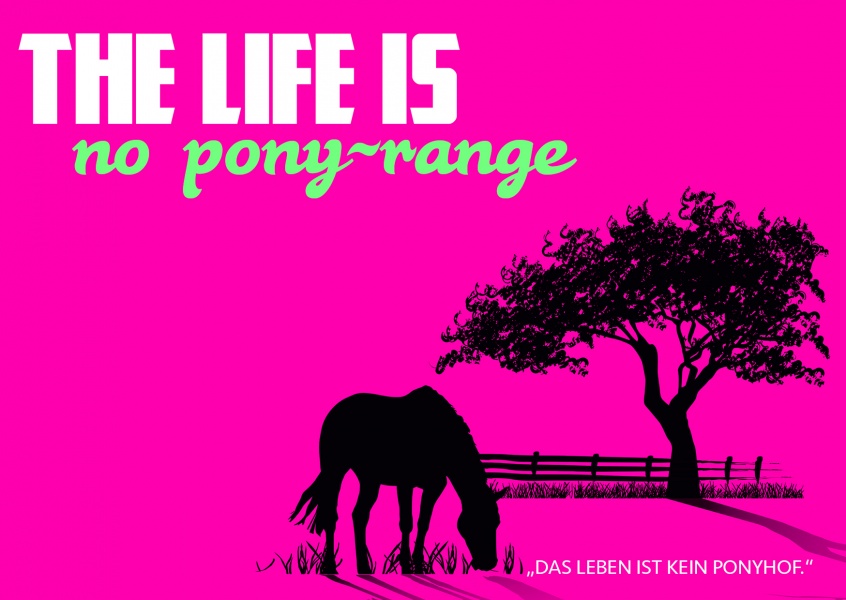 Lustige Denglisch Humor Postkarte mit Pferd in Pink