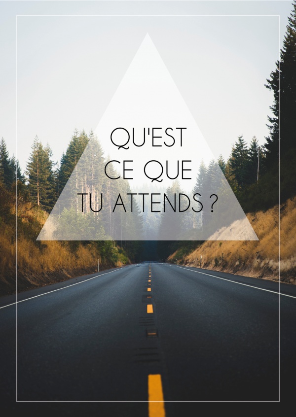 Qu'est ce que tu attends fond route bitumee bords sapins