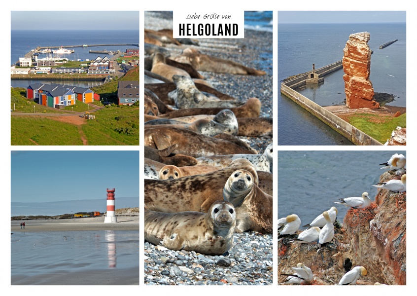 fünfer collage mit fotos von der nordseeinsel helgoland in schleswig holstein