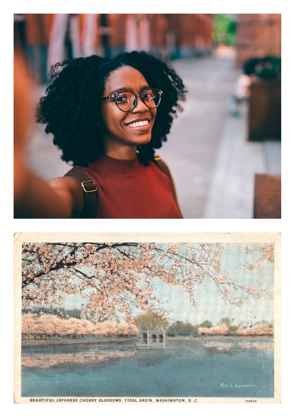 Washington DC, Cherry Blossoms, Tidal Basin