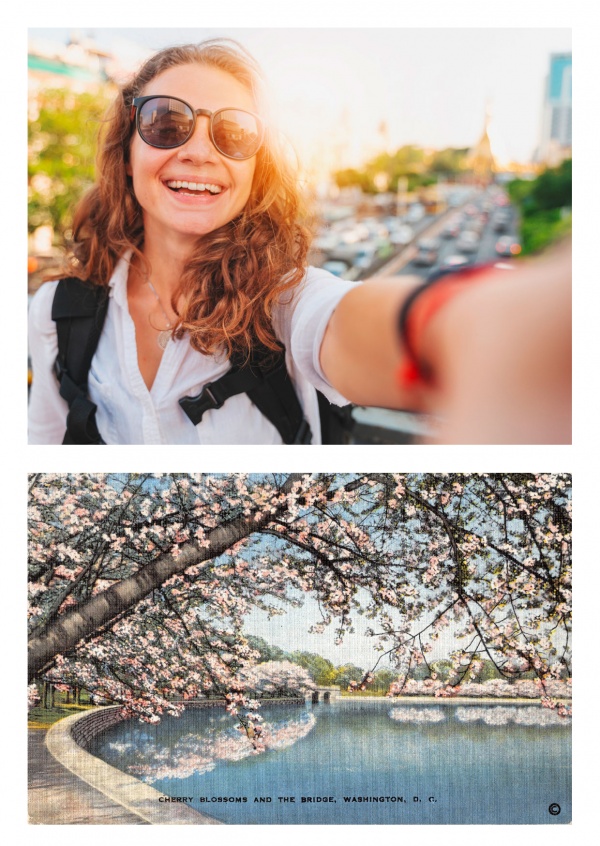 Washington DC, Chery Blossoms and Bridge
