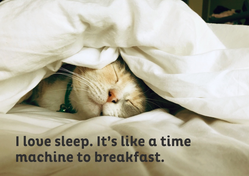 Me encanta dormir. Es como una máquina del tiempo para el desayuno.