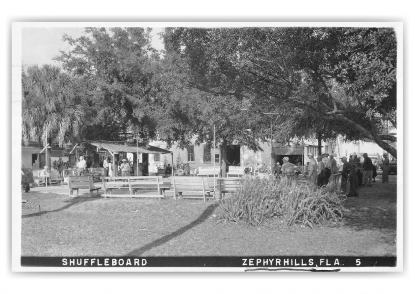 zephyrhills, FLorida, Shuffleboard