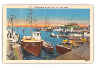     Cape Cod, Massachusetts, Busy Harbor Scene, Woods Hole