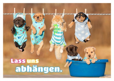 Foto von Hundewelpen auf Wäscheleinde–mypostcard