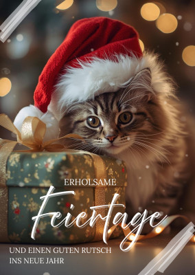 Erholsame Feiertage  und einen guten Rutsch ins Neue Jahr