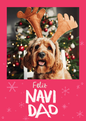 Feliz Navidad