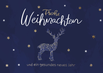 Frohe Weihnachten und ein gesundes neues Jahr