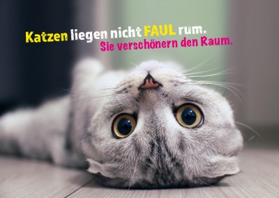 Auf dem Boden liegende graue Katze mit spruch in gelb und pinkâ€“mypostcard