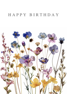 Meridian Design - Happy Birthday