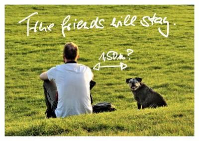 postcard True friends will stay
