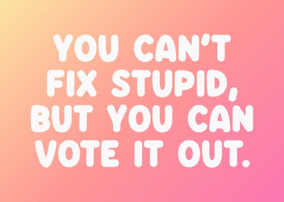 You canâ€™t fix stupid, but you can vote it out.
