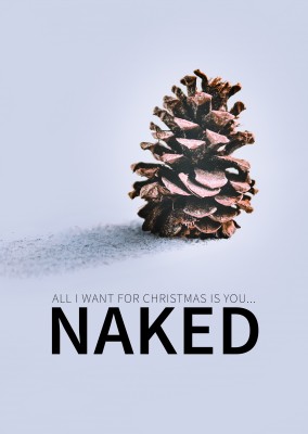 Spruch All I want for Christmas is you...NAKED