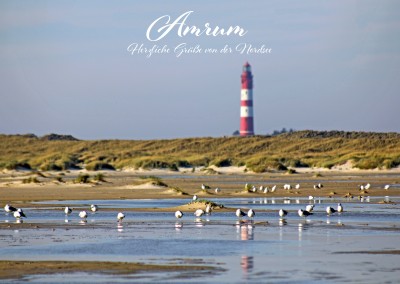 Postkarte von Amrum mit Wattmeer, Möwen und Leuchtturm