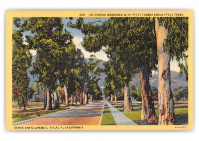 Arcadia, California, Santa Anita Avenue