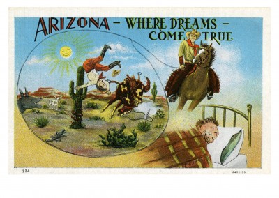 Curt Teich Cartolina Collezione degli Archivi in Arizona, dove i sogni diventano realtà