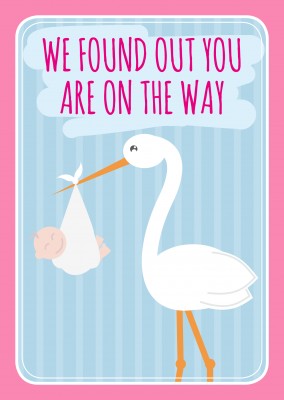 Pink We found out you are on the way lettering with a stork and a baby on a blue-striped backround