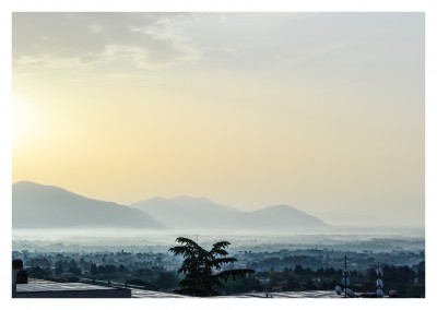 Blick auf Stadt am Morgengrauen mit Palme
