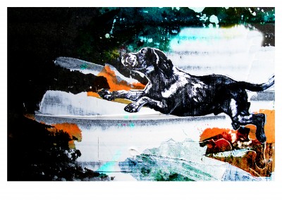 Collage von Belorst Pawlow Hund