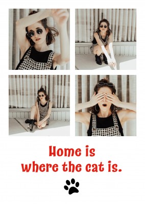 Le ragazze AMANO Viaggiare casa dove il gatto è