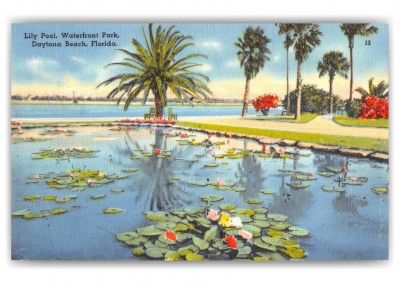 Daytona Beach, Florida, Lily pool, waterfront park