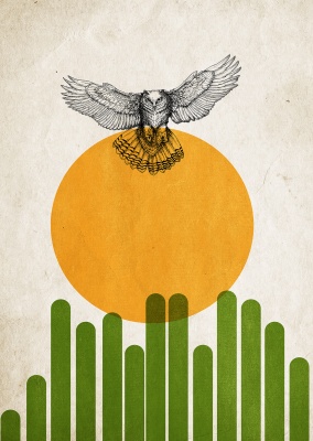 illustration bird in desert