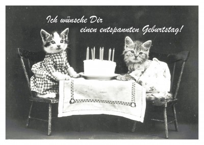 Foto zwei Katzen am Geburtstagstisch