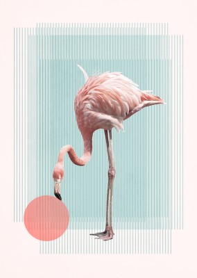 Kubistika Flamingo mit Ball