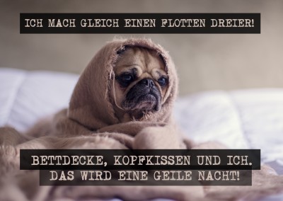 Foto Hund Spruch Flotter Dreier geile Nacht