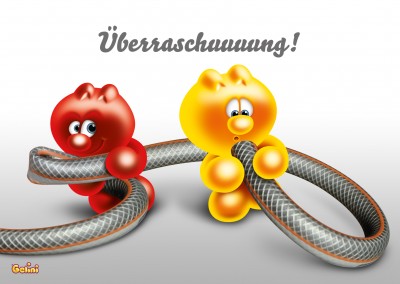 gelini überraschungs postkarte grusskarte
