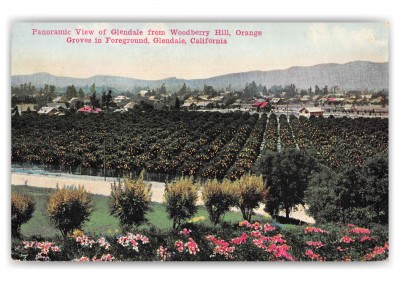 Glendale California Woodberry Hill Orange Groves