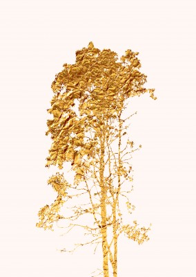 Kubistika another golden tree