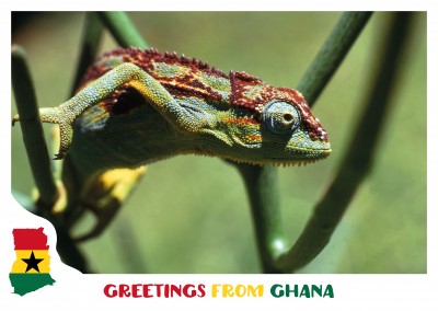 Greetings from Ghana! | Vacation Cards & Quotes 🗺️🏖️📸 | Send real  postcards online