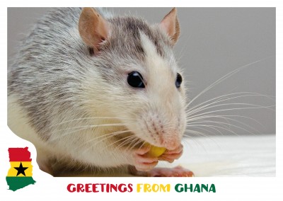 Greetings from Ghana! | Vacation Cards & Quotes 🗺️🏖️📸 | Send real  postcards online