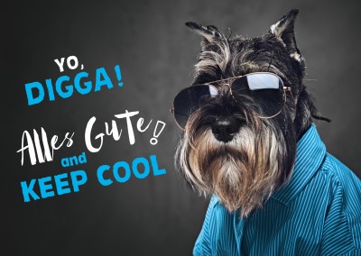 Foto Hund mit Sonnenbrille