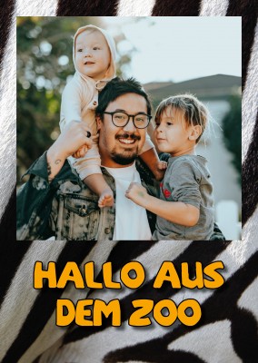 Postkarte Hallo aus dem Zoop