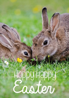 happy hoppy easter schrift mit Foto von zwei Hasen