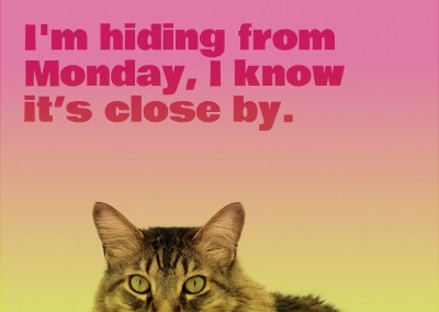 I am hiding from monday, I know it's close by